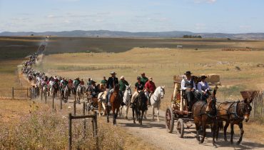 foto romaria a cavalo