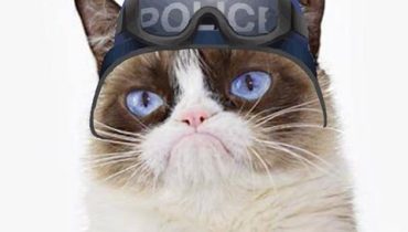 gato policial
