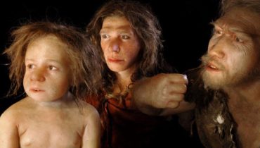 homem-neandertal|neandertal