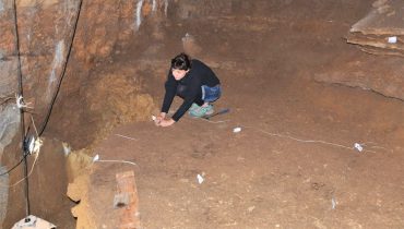 homo sapiens investigadora ualg