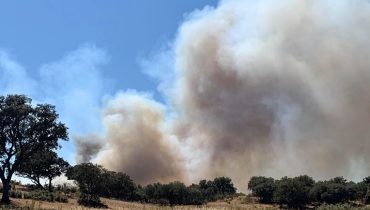 incendio almodovar (3)