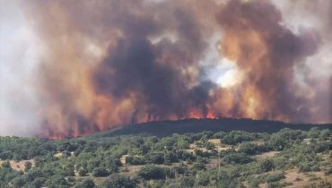 incendio loule amendoeira
