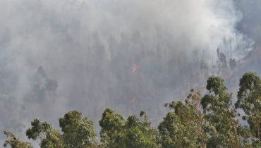incêndio monchique (8)|incêndio monchique (2)|incêndio monchique (3)|incêndio monchique (4)|incêndio monchique (5)|incêndio monchique (6)|incêndio monchique (7)|incêndio monchique (9)|incêndio monchique (10)|incêndio monchique (11)|incêndio monchique (12)|incêndio monchique (13)|incêndio monchique (14)|incêndio monchique (15)|incêndio monchique (16)|incêndio monchique (17)|incêndio monchique (18)|incêndio monchique (19)|incêndio monchique (20)|incêndio monchique (21)|incêndio monchique (22)|incêndio monchique (23)|incêndio monchique (24)|incêndio monchique (25)|incêndio monchique (26)|incêndio monchique (27)|incêndio monchique (28)