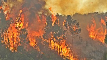 incendio monchique_18