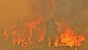 incendio monchique_26