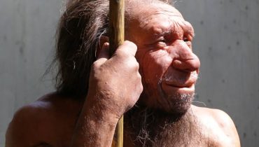 neandertal