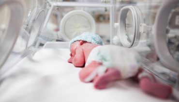 neonatologia