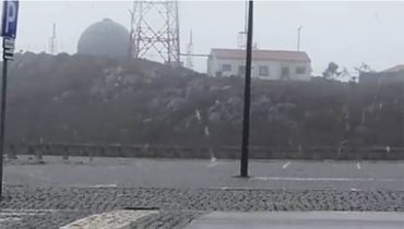 neve na fóia