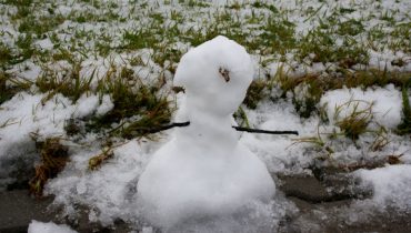 neve_8