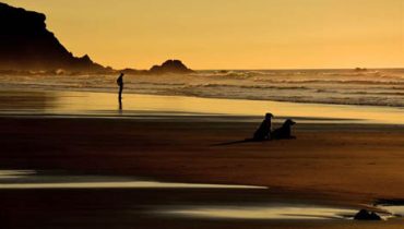 nº01_DiogoCandeias_um olhar pelo horizonte|nº05_LuisBrito_familia rosa
