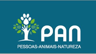 pan|pan