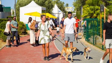 parque canino albufeira