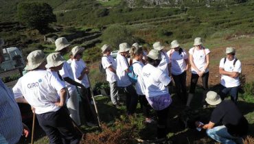 plantação de carvalhos_1|plantação de carvalhos_2