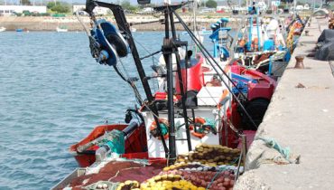 porto de pesca de portimão2