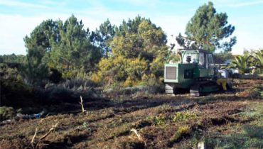 prevenção-dos-incêndios-florestais-1