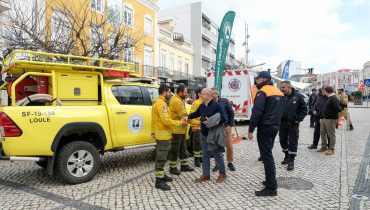 protecao civil mercado (1)
