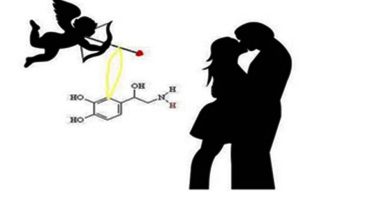 quimica do amor