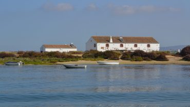 ria formosa ccmar (3)