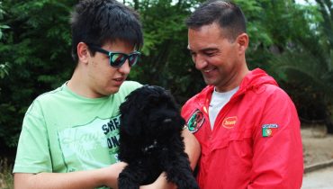 rui marques autista cão de assistência (7)