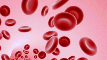 sangue