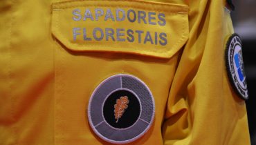 sapadores florestais_er_02