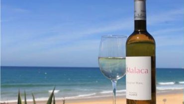 sauvignon blanc Malaca1