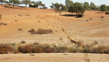 seca_desertificacao_serra de mertola_1