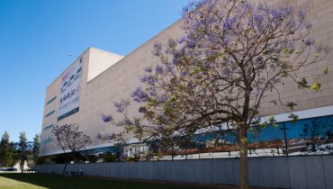teatro figuras rd-5