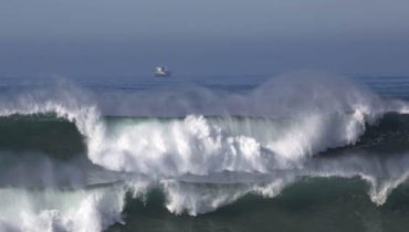 temporal