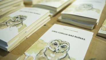 uma coruja nas ruínas