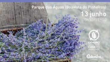 workshop plantas-01-01