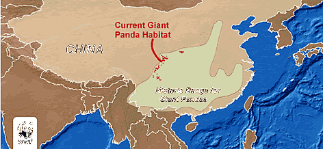 Distribuição atual e do passado recente do panda gigante (Ailuropoda melanoleuca)