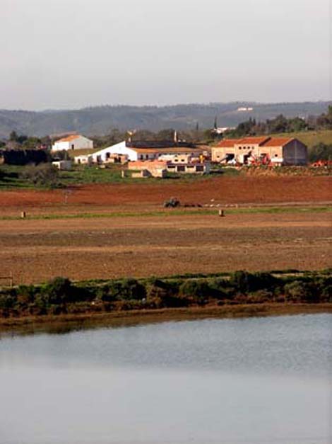 Already after the first embargoes, illegal mining in Quinta da Rocha